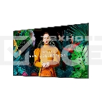 Панель Samsung QB75C черный VA, 75