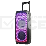 Колонка ELTRONIC 10