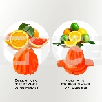 Соковыжималка цитрусовая Starwind SJ 1241 30Вт рез.сок.:1200мл. белый/прозрачный, фото9