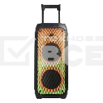 Колонка ELTRONIC 10