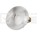 Чайник для плиты ALBERG AL-3066, фото2