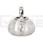 Чайник для плиты ALBERG AL-3066, фото3