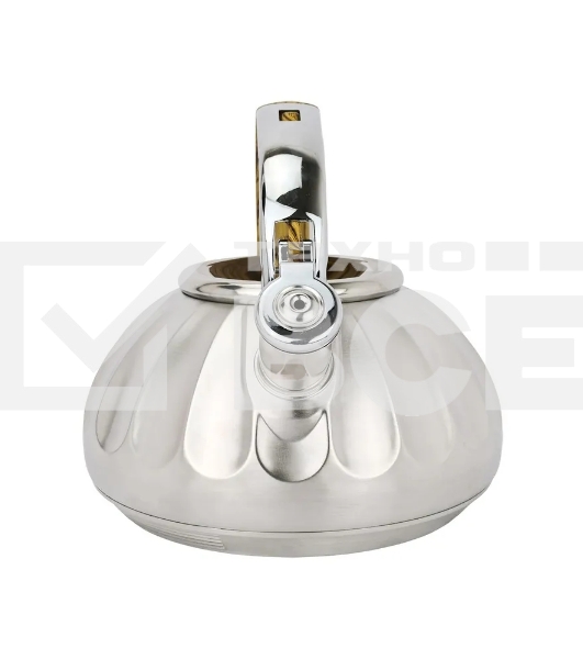 Чайник для плиты ALBERG AL-3066