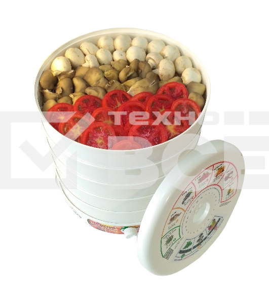 Сушилка для овощей и фруктов Renova DVN31-500/5(R)