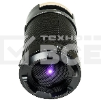 Портативная аудиосистема DIALOG AP-1030, фото6