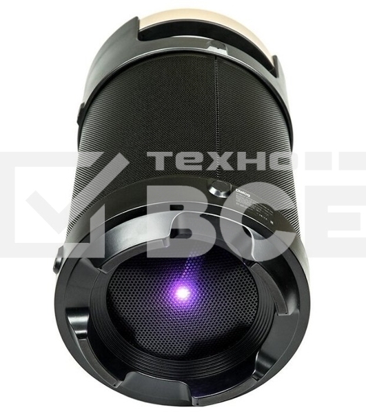 Портативная аудиосистема DIALOG AP-1030