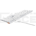 Клавиатура беспроводная A4Tech Fstyler FBX50C, USB, Bluetooth/Радиоканал, белый, фото10