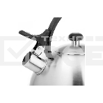 Чайник для плиты LARA LR00-65, нержавейка, матовый, 2,5 л, индукце капс дно, нейлон.ручка, фото3