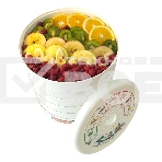 Сушилка для овощей и фруктов Renova DVN31-500/5(R), фото4