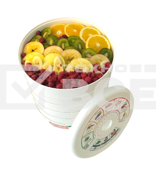 Сушилка для овощей и фруктов Renova DVN31-500/5(R)