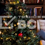 Гирлянда светод. рисовая Funray RL-110WW, 10м, 100LED, тепл.белый, темно-зел. шнур 0,7м, контроллер,, фото6