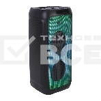 Колонка ELTRONIC 10