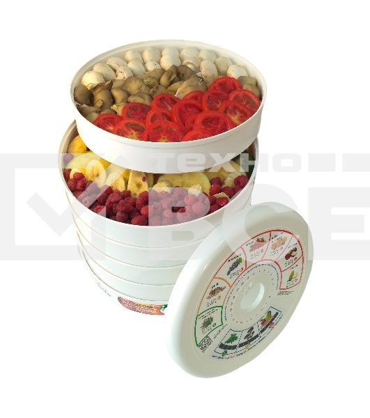 Сушилка для овощей и фруктов Renova DVN31-500/5(R)