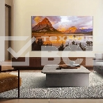 Телевизор TCL 43