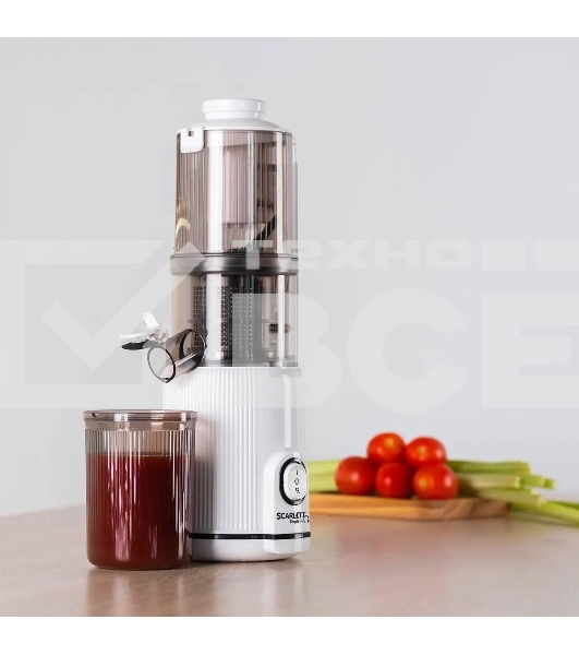 Соковыжималка шнековая Scarlett SC-JE50S63 400Вт рез.сок.:600мл. белый