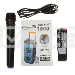 Колонка ELTRONIC 10