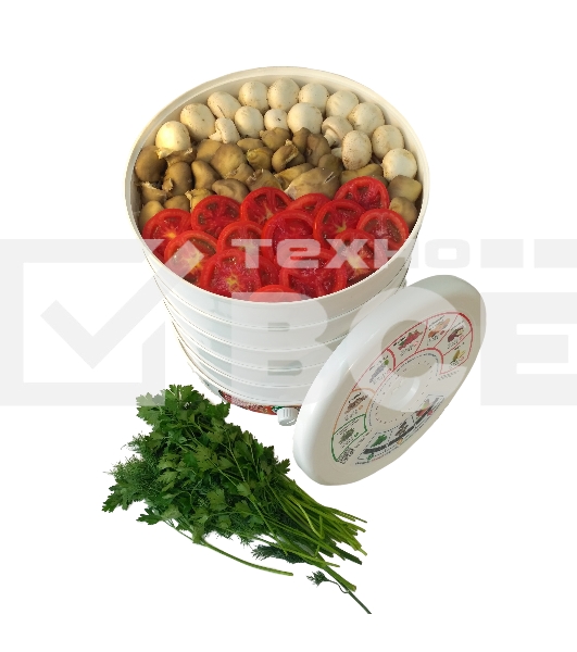 Сушилка для овощей и фруктов Renova DVN31-500/5(R)