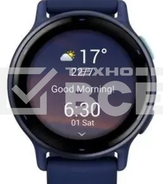 Смарт-часы Garmin Vivoactive 5 42мм синий
