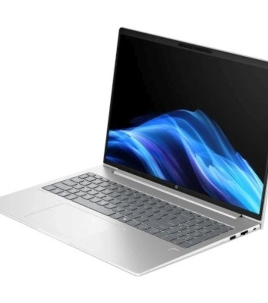 Ноутбук HP ProBook 4 G1iR 14' WUXGA IPS, Intel Core 5 210H, 16Gb, 512Gb SSD, no OS, серебристый*