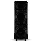 Колонка ELTRONIC (20-22) SKILLETS BOX 2500 - 10 ', фото4