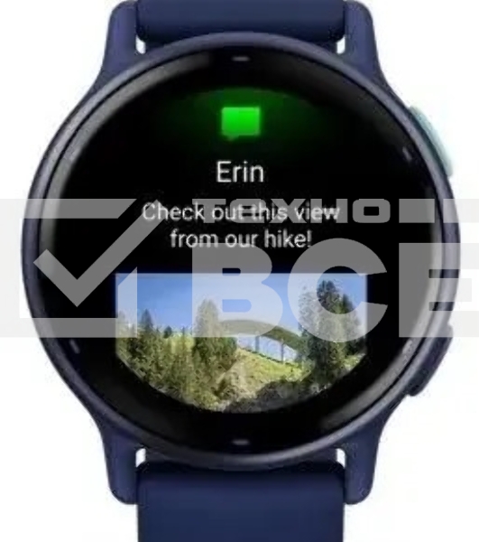 Смарт-часы Garmin Vivoactive 5 42мм синий