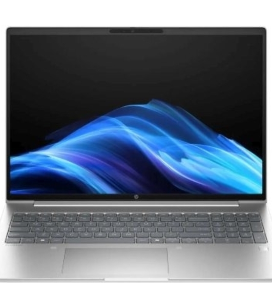 Ноутбук HP ProBook 4 G1iR 14' WUXGA IPS, Intel Core 5 210H, 16Gb, 512Gb SSD, no OS, серебристый*