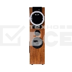 Колонка Eltronic 08