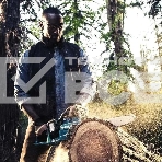 Цепная пила Makita DUC353CT2 36Вт дл.шины:14' (35cm) 5Ач, фото2