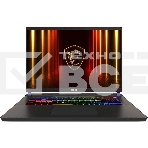 Ноутбук без сумки MSI Vector 17 HX A2XWJG Ultra9 275HX 17
