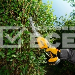 Ножницы-кусторез аккумуляторные Denzel CGS-100, 18В Li-Ion 59430, фото7