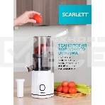 Соковыжималка шнековая Scarlett SC-JE50S63 400Вт рез.сок.:600мл. белый, фото25