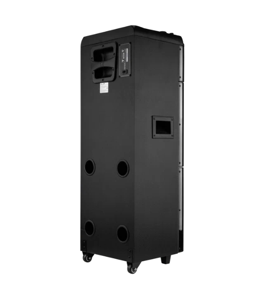 Колонка ELTRONIC (20-22) SKILLETS BOX 2500 - 10 '