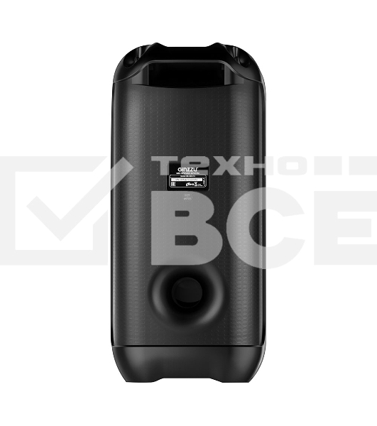 Портативная колонка GINZZU GM-113