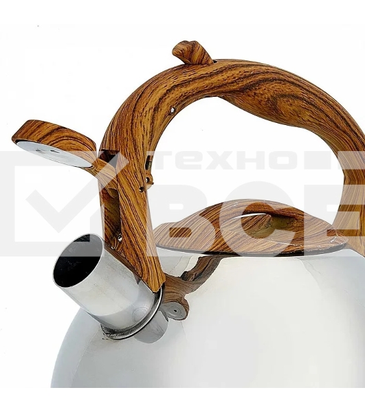 Чайник для плиты ALPENKOK AK-517 3,0 л