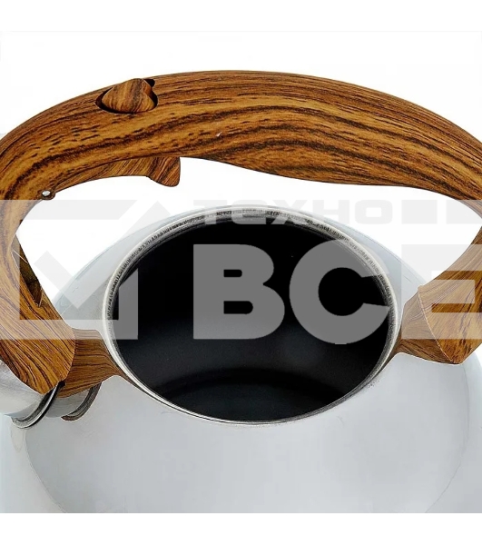 Чайник для плиты ALPENKOK AK-517 3,0 л