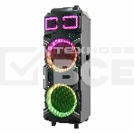 Колонка ELTRONIC 10