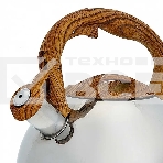 Чайник для плиты ALPENKOK AK-517 3,0 л, фото5