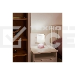 Настольный декоративный светильник Uniel (UL-00010754) UML-B302 E14 PINK, фото5