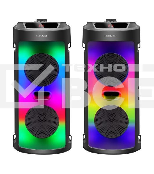 Акустическая система Midi GM-231 TWS/BT/USB/TF/FM/ДУ черный