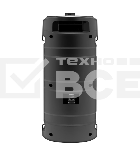 Акустическая система Midi GM-231 TWS/BT/USB/TF/FM/ДУ черный