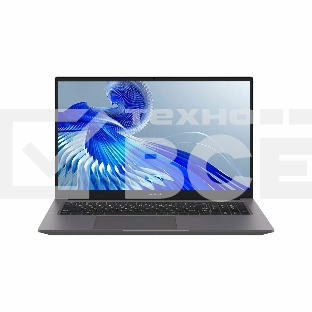 Ноутбук Maibenben P725 серый P7251SF0LGRE0 17.3