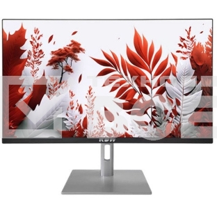 Монитор 23.8' RDW Computers RDW2407 IPS 1920x1080, 120 Гц, 1 мс (MPRT), 16:9, 300 кд/м², VGA, HDMI, DP, USB-C, USB Hub, 3.5 Jack, динамики, HDR10, черно-серебристый