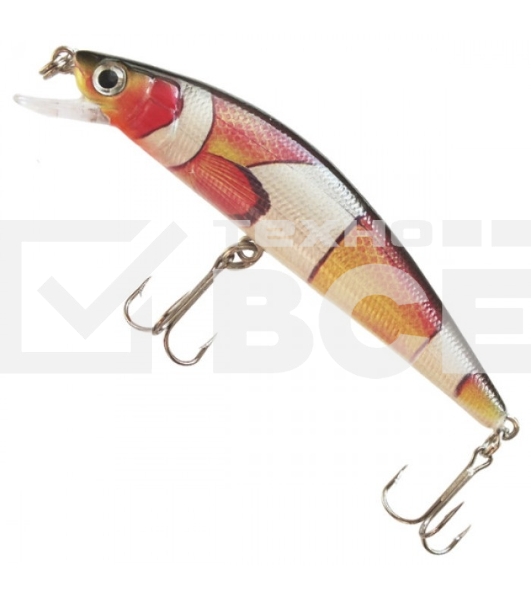 Воблер SANSAN SAN-MINNOW BARABUS 90F 9,0см 10,0гр Col.534