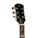 Электрогитара STAGG SEL-DLX TR BLK 6-ти струнная, цвет Translucent Black, фото2