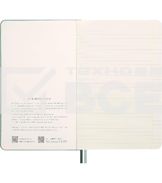 Блокнот Moleskine LIMITED EDITION YEAR OF THЕ SNAKE LECNYSNKVEGMBOX 130х210мм, 176 страниц, линейка, подарочная коробка, мятный Mamba