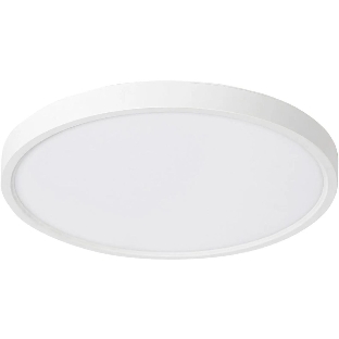 Умный светильник Digma TopLight TL40 потолоч. белый (TL40)