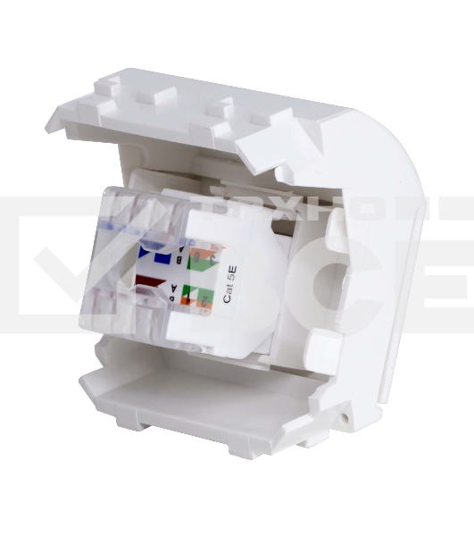 Розетка компьютерная DKC Brava 76655B R J 45 кат. 5e, белая, 2 мод