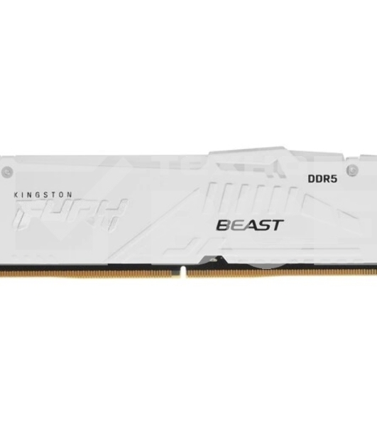 Оперативная память Kingston Fury Beast, DDR5, 16GB (1x16GB), 5600MHz, CL40, радиатор, RGB, белый