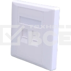 Панель Suprlan 10-0334-1, лицевая со шторкой 80x80, 2xKeystone ABS пластик, белый, фото 1