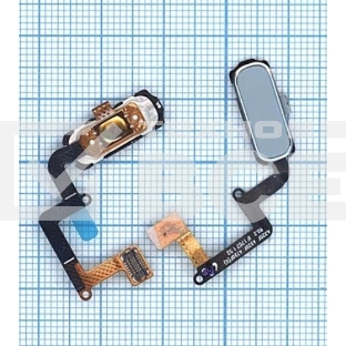 Кнопка HOME в сборе с механизмом и шлейфом для Samsung A320, синяя